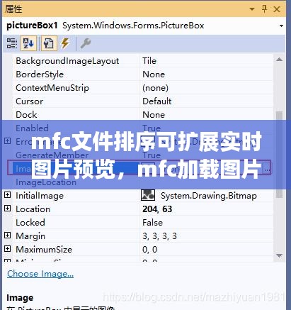 mfc文件排序可擴(kuò)展實(shí)時(shí)圖片預(yù)覽，mfc加載圖片 
