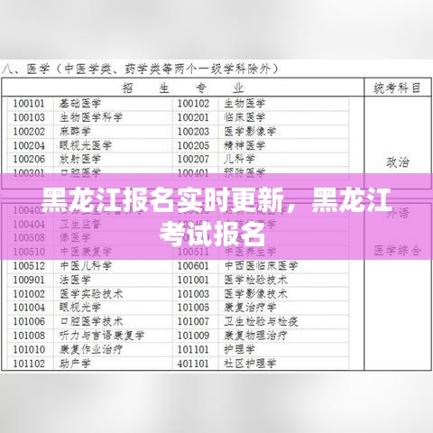 黑龍江報名實時更新，黑龍江考試報名 