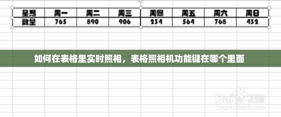 如何在表格里實時照相，表格照相機(jī)功能鍵在哪個里面 