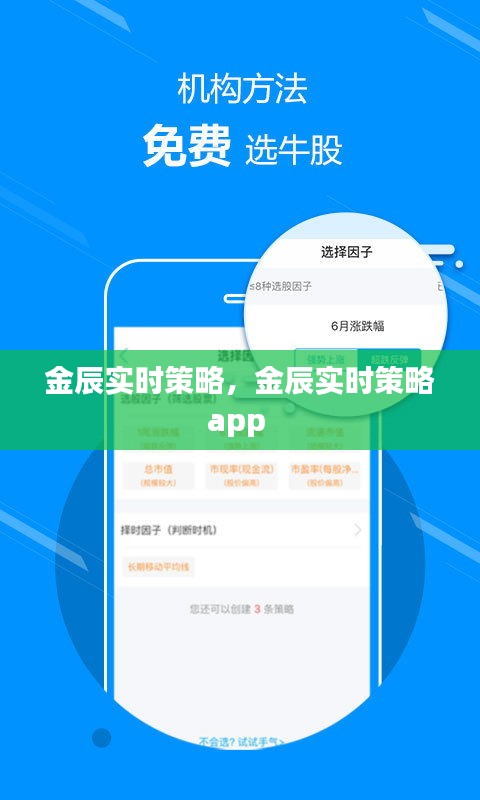 金辰實時策略，金辰實時策略app 