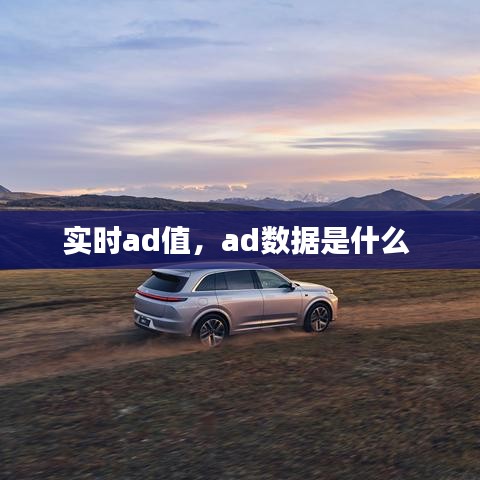 實時ad值，ad數(shù)據(jù)是什么 