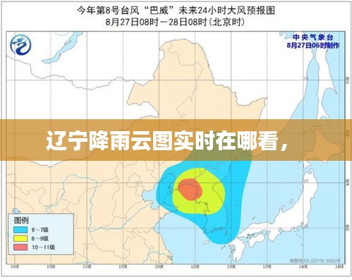 遼寧降雨云圖實(shí)時(shí)在哪看， 