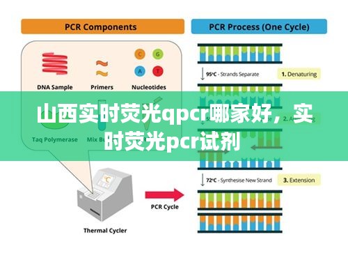 山西實(shí)時(shí)熒光qpcr哪家好，實(shí)時(shí)熒光pcr試劑 