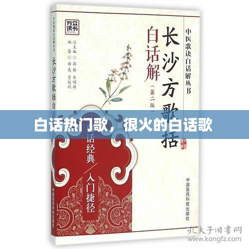 白話熱門歌，很火的白話歌 