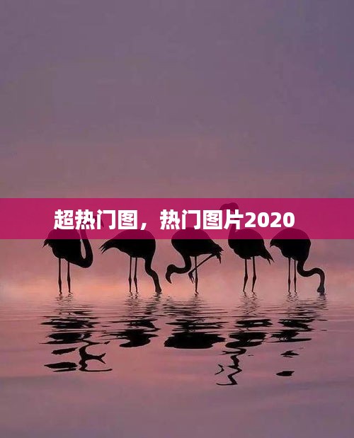 超熱門圖，熱門圖片2020 