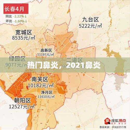 熱門鼻炎，2021鼻炎 